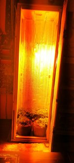 IMG_20170413_134318.jpg
