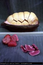 Kola-Nut-4729.jpeg