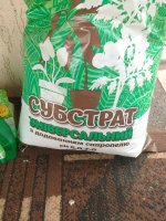 IMG_20170413_163353529.jpg