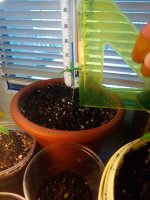 IMG_20170413_131817.jpg