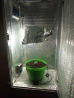 IMG_20170415_211953.jpg