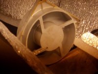 IMG_20170415_215332.jpg