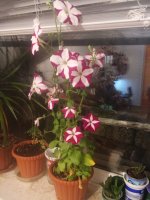 20160511_210110.jpg