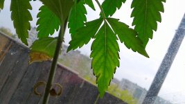 20170422_164208.jpg 20170422_164208.jpg