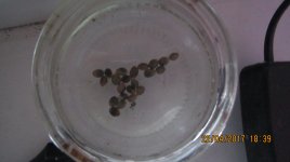 IMG_1248.JPG