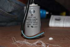 IMG_3805[1].JPG