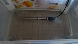 DSC01312.JPG
