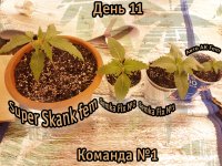 IMG_201704ы21_195427.jpg