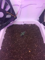20170424_092021593_iOS.jpg
