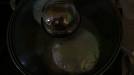 DSC01330.JPG