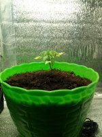 IMG_20170426_002220.jpg