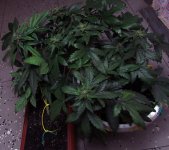 IMG_2315.JPG