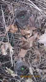IMG_1269.JPG