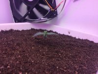 20170426_085030108_iOS.jpg