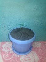 IMG_20170423_224458.jpg