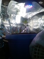 IMG_20170426_170125.jpg