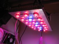 mimibel 002.JPG mimibel 002.JPG