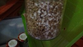 DSC01338.JPG