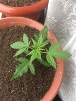 20170428_101225318_iOS.jpg