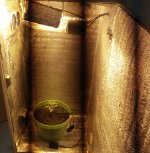 IMG_20170428_182643.jpg