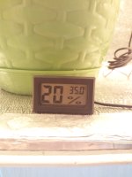 IMG_20170428_182449.jpg