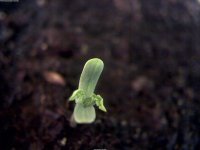 2017-04-29_15-55-40_117.jpg 2017-04-29_15-55-40_117.jpg