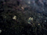 2017-04-29_15-57-20_846.jpg 2017-04-29_15-57-20_846.jpg