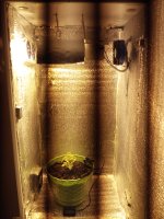 IMG_20170430_002858.jpg