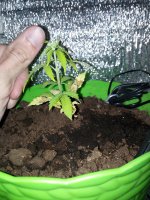 IMG_20170430_011247.jpg