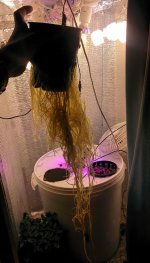 IMG_20170413_003536.jpg