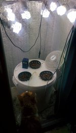 IMG_20170430_190914.jpg