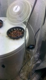 IMG_20170501_020040.jpg