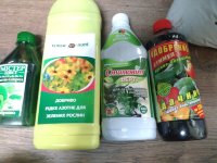 IMG_20170502_175701165.jpg