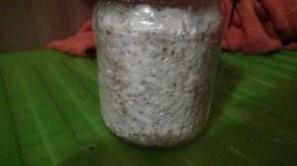 DSC01347.JPG