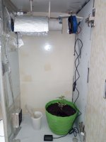 IMG_20170430_160423.jpg
