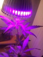 2017-05-03 20-18-57.JPG
