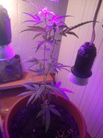 2017-05-03 20-19-28.JPG