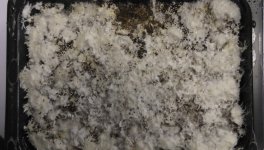 S1280001.JPG