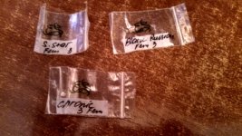 IMG_20170323_185206_183-816x459.jpg