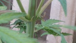 20170504_150844.jpg