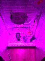 IMG_3358-04-05-17-16-13.JPG