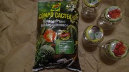 DSC01377.JPG