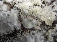 DSCF70191.jpg