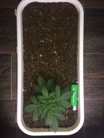 20170507_114308849_iOS.jpg