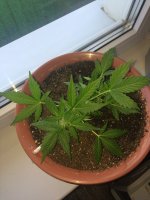 20170507_132413174_iOS.jpg