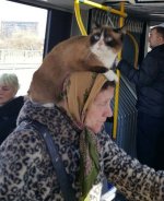 ^2817212EFE204BE32084ABDC9D3E5AD4748DF67C2E33CA1F22^pimgpsh_fullsize_distr.jpg