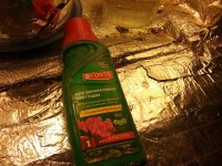 20170510_162635.jpg