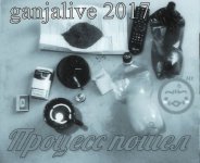 Процесс пошел1.jpg