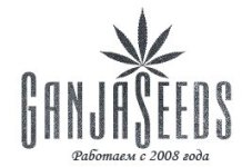 header_logo_all.jpg