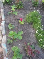 image23.jpg